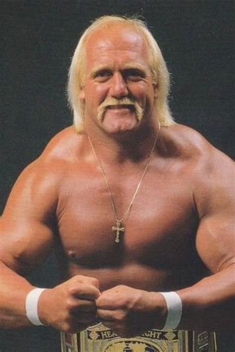 hulk hogan hair fake